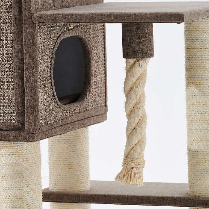 Nobby Kratzbaum Kasil